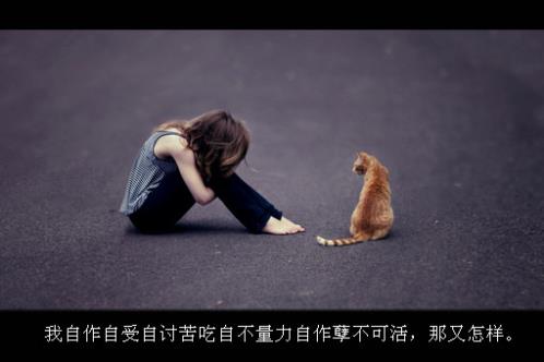 简单而走心的朋友圈说说