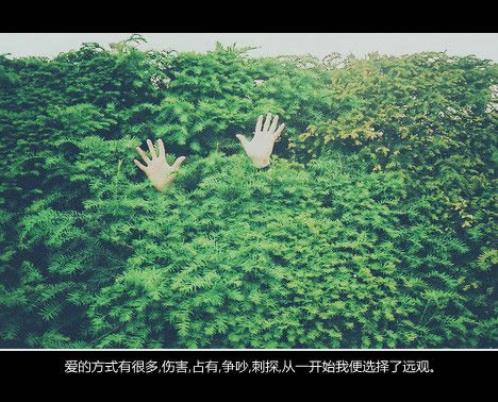 个性说说心情句子大全唯美