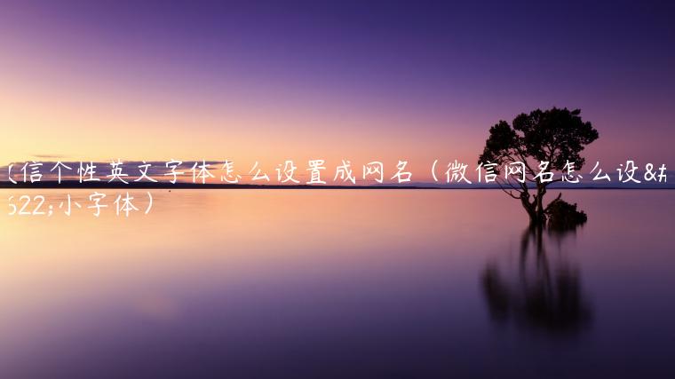 微信个性英文字体怎么设置成网名（微信网名怎么设置小字体）