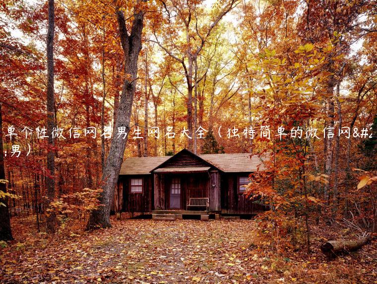 简单个性微信网名男生网名大全（独特简单的微信网名男）