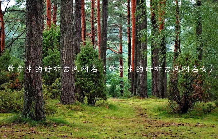 带余生的好听古风网名（带余生的好听古风网名女）