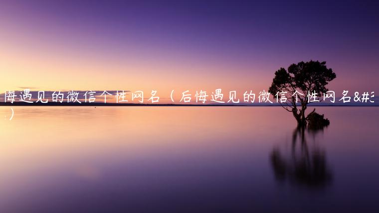 后悔遇见的微信个性网名（后悔遇见的微信个性网名男）
