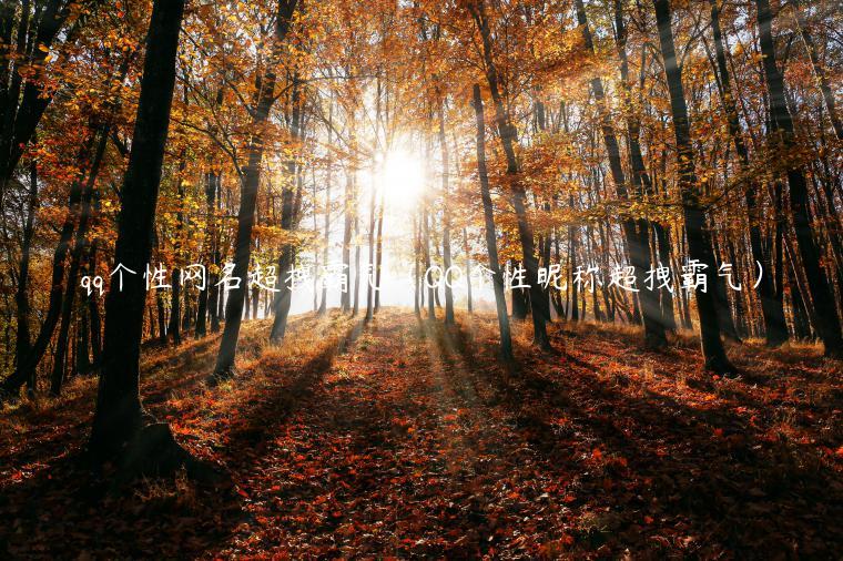 qq个性网名超拽霸气（QQ个性昵称超拽霸气）
