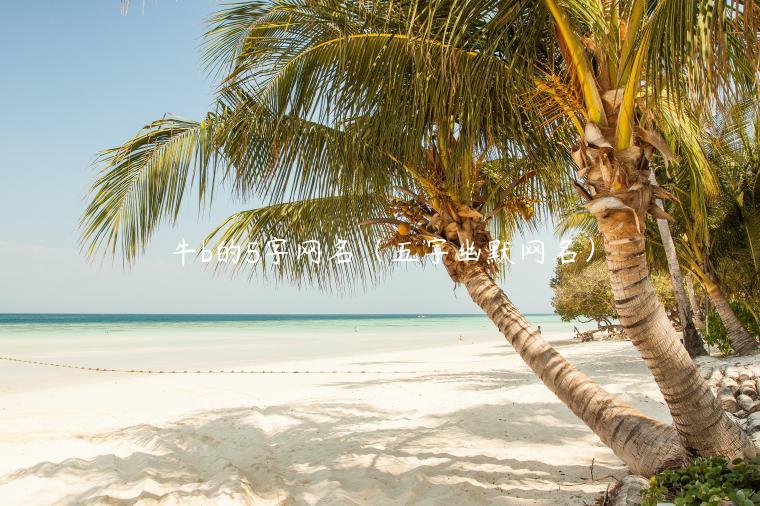 牛b的5字网名（五字幽默网名）