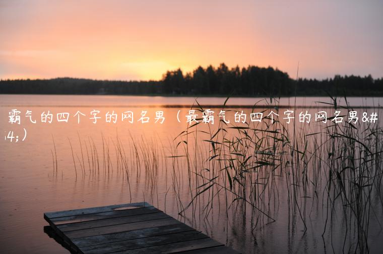 最霸气的四个字的网名男（最霸气的四个字的网名男人）