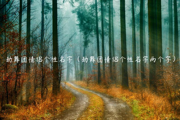 劲舞团情侣个性名字（劲舞团情侣个性名字两个字）