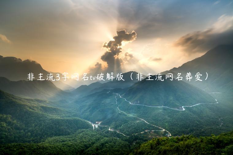 非主流3字网名tv破解版（非主流网名葬爱）