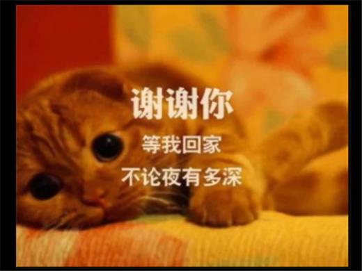 高三励志班会ppt