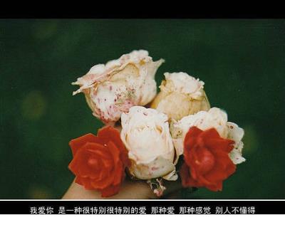 微商早安奋斗语录