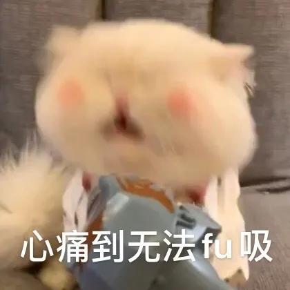 天冷了发个朋友圈配图（适合天冷时发的朋友圈搞笑文案）