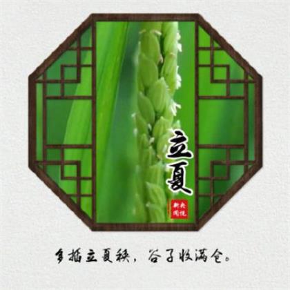 每日清晨早安励志问候语