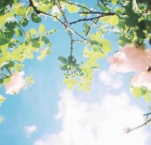 生气的心情怎么表达
