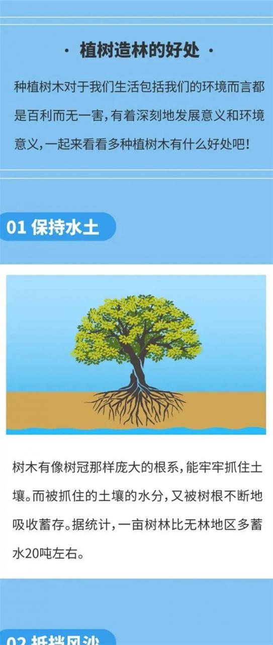 植树节的由来和意义，植树节的来历介绍