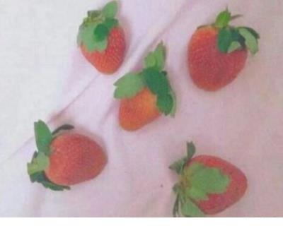 qq签名励志青春女生