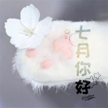 小学生读书励志宣言
