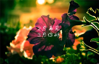 最长的搞笑祝福语大全