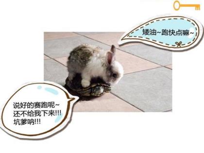 最长的搞笑祝福语大全