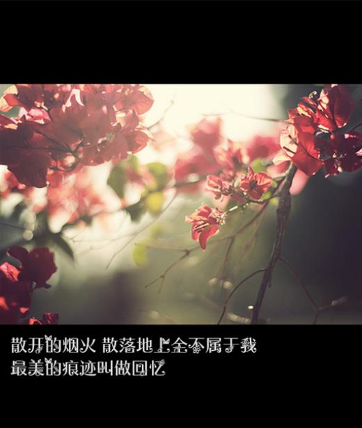 抗击疫情励志说说
