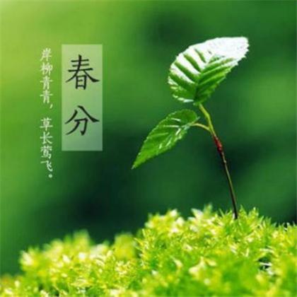 描写户外快乐心情的句子