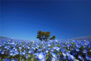 ​男士祝福语大全：它能让你一生无忧…