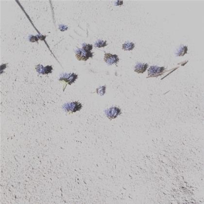 为母校庆生祝福语