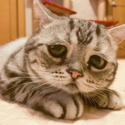 正能量语录