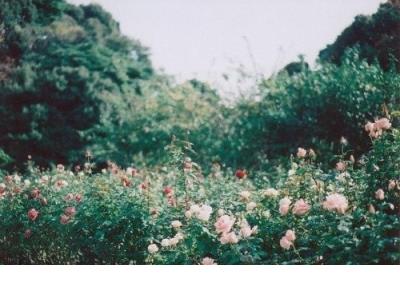 青春文艺励志句子