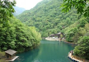 ​企业节能节约口号