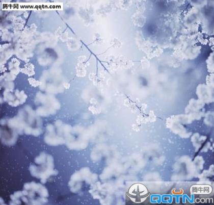 失去胎儿心痛朋友圈