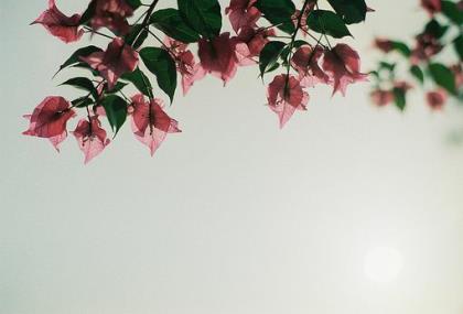体育宣传口号大全
