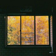​激励我的人生格言 人生如逆旅我亦是行人