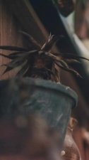 ​弘扬传统文化的名言：手牵手保护文化遗产…