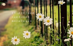 ​古风霸气撩人情话（超深情的古风表白句）