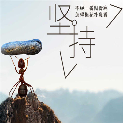 有关工作励志的句子长点的