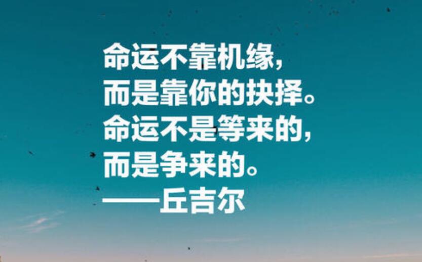 积极向上的名言励志句子