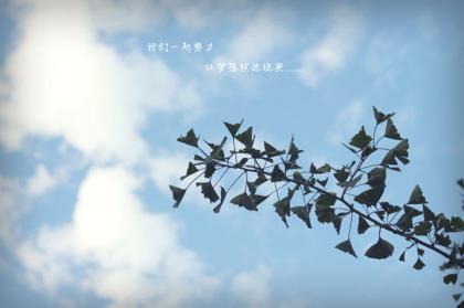 企业广告宣传标语