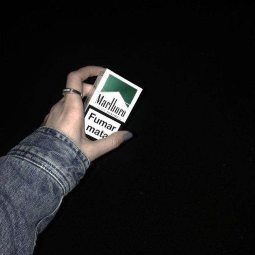 适合朋友的暖心句子