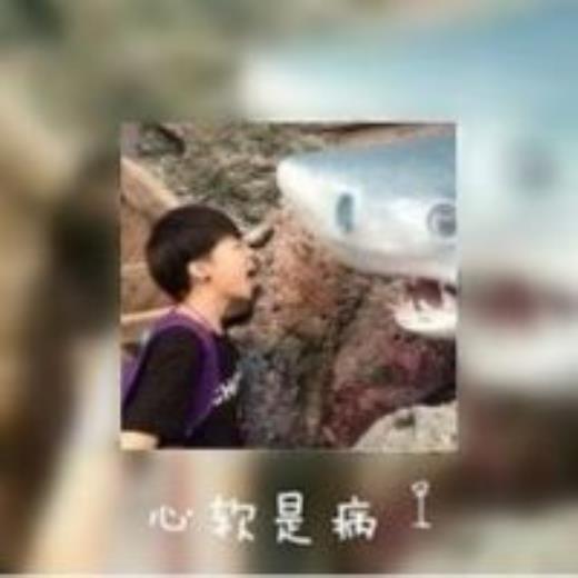 朋友情谊的句子