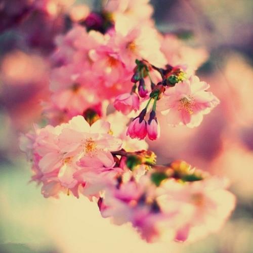 七夕节ktv广告语