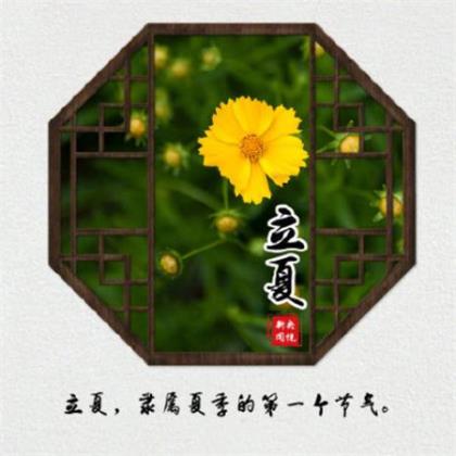对一个人心寒失望的句子