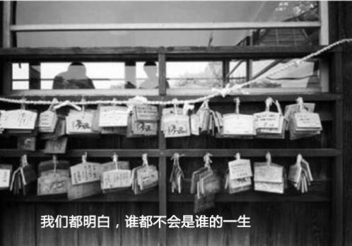 本命年本年祝福语老姐妹聚会（本年本命年给自己的生日祝福语）