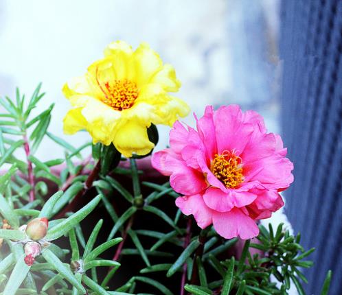 中秋节企业微信祝福 微信最美中秋节祝福语