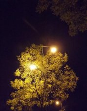 ​唯美伤感的简短句子文案