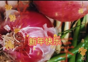 ​祝福大哥的吉祥话(新春祝福语大集中)