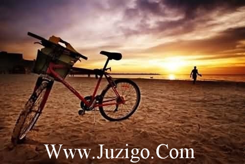 七月初七七夕情人节祝福语【五篇】