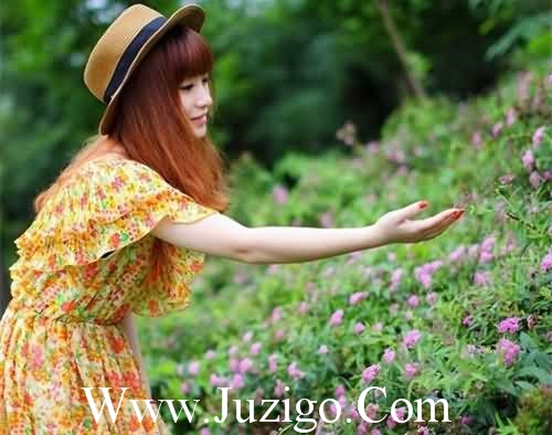 有关梅花的好句