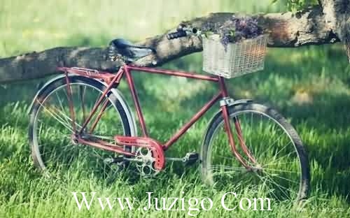 母亲节的由来 2023母亲节经典的祝福语(精选70句)