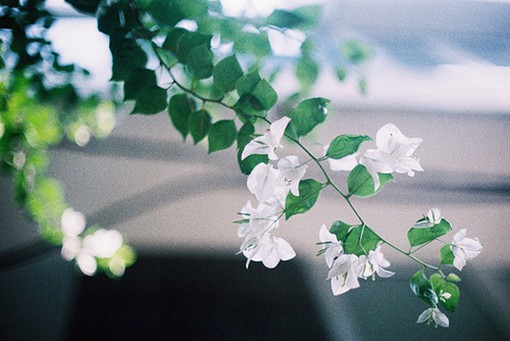 每日祝福语92句
