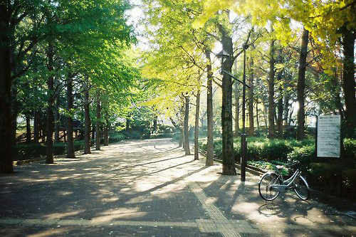 小学校园文明礼仪标语100句