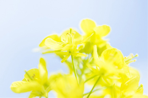 庆祝教师节标语98句